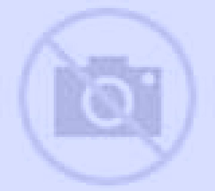 Amanda Calama escort