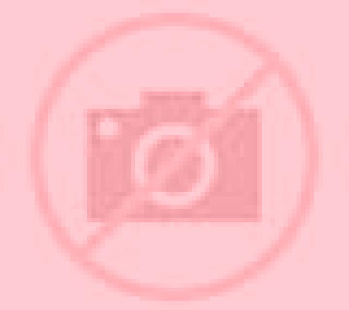 Amanda Corral escort