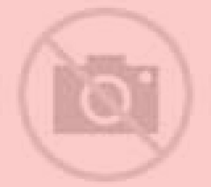 Andrea Lampa escort