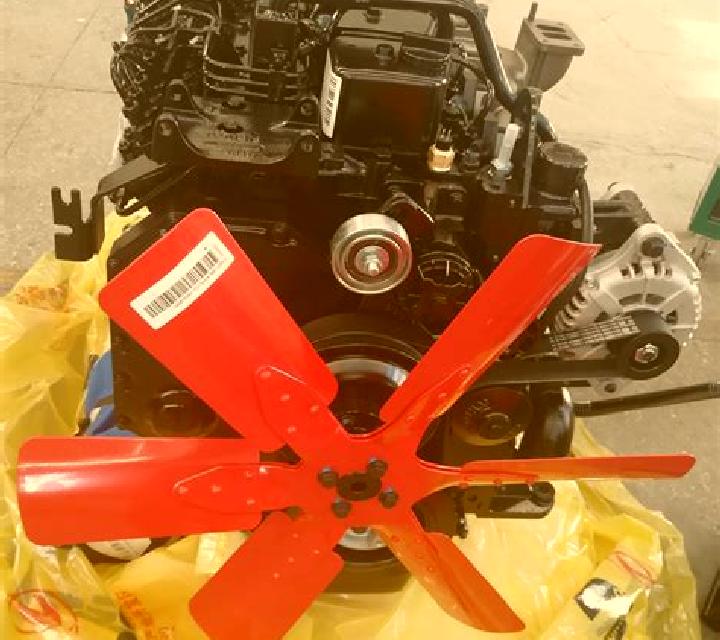 Aurora 3 Nueva Tolten escort