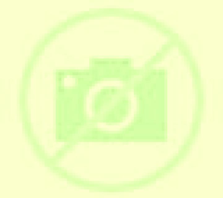 Brisa Florida escort