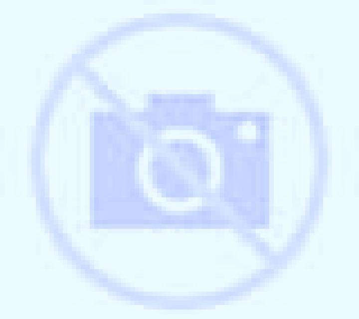 Brisa Matilla escort