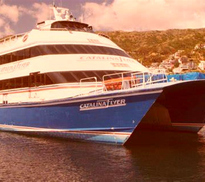 Catalina Vicuna escort