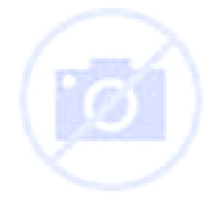 Cinthia 2 El Tabo escort
