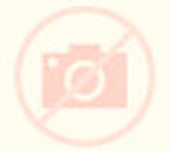 Cinthia Chicureo escort