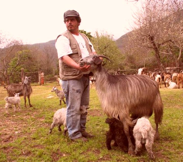 Cloe 2 Las Cabras escort
