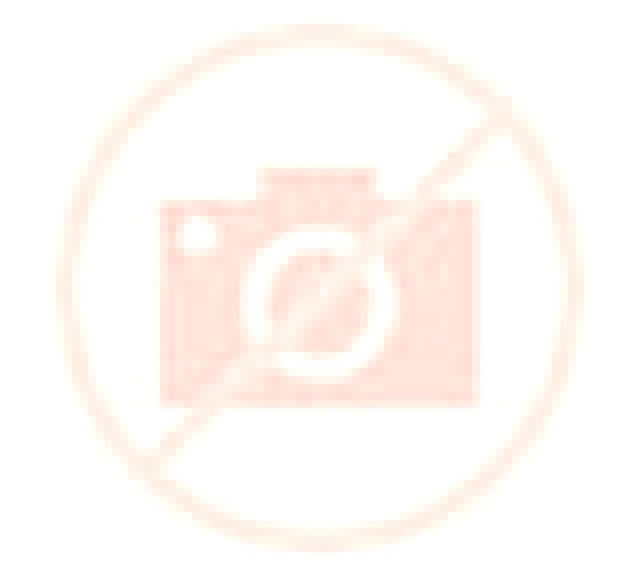 Diana 2 El Carmen escort