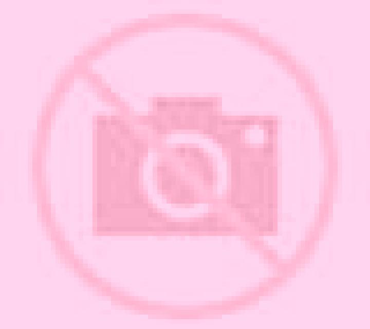 Diana Copiapo escort