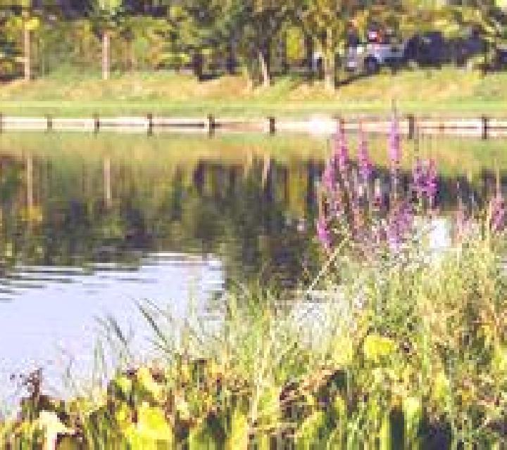 Isabela 3 Lago Verde escort