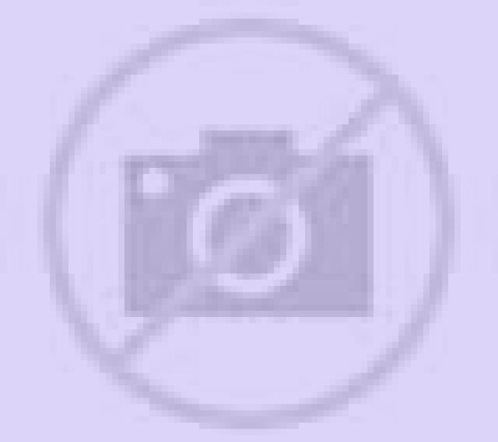 Isidora 2 Lota escort