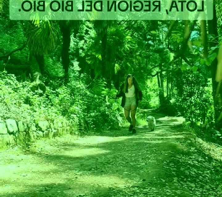 Isidora Lota escort