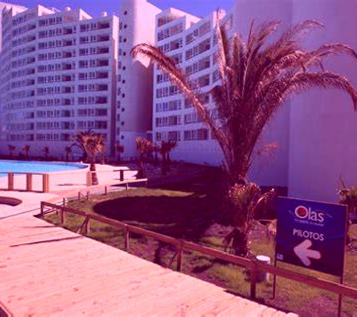 Lola 2 San Pedro de la Paz escort