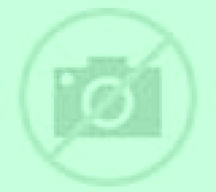 Lola 3 La Islita escort