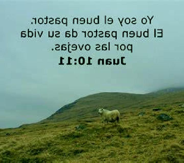 Lucía 3 Vilcun escort