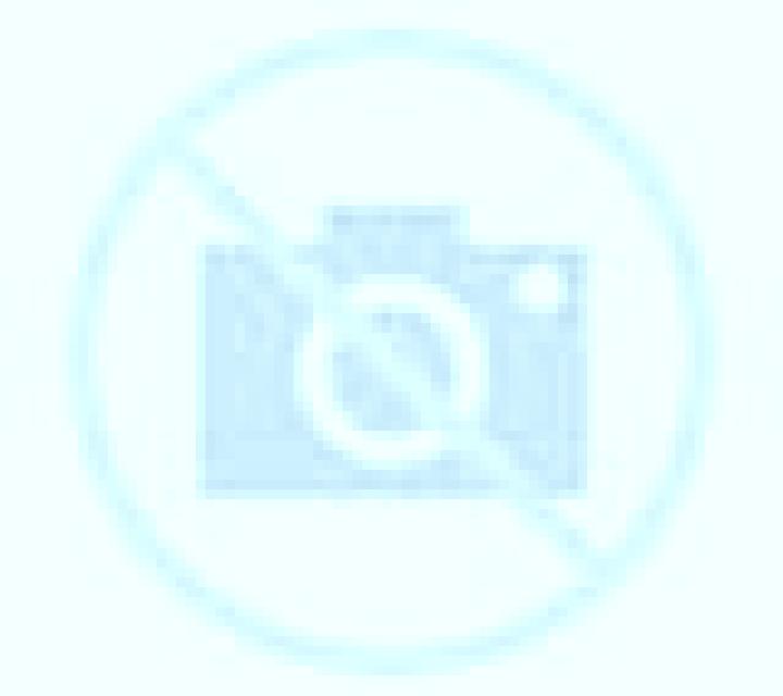 Macarena Arica escort