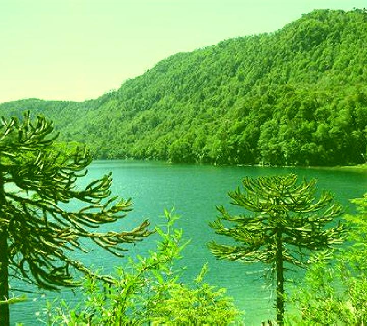 Ámbar 2 Pencahue escort
