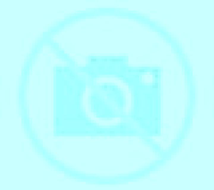 Millaray Cameron escort