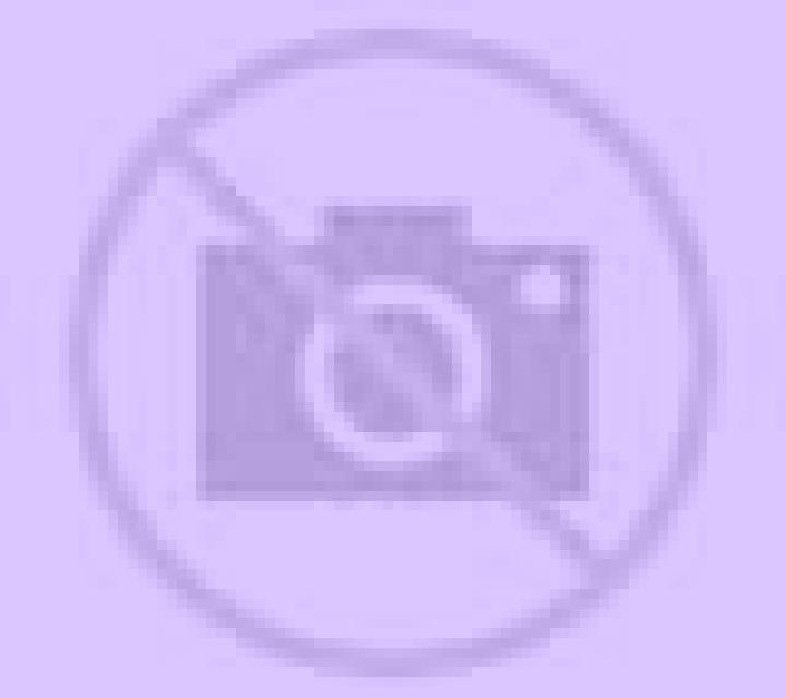 Noelia 3 Cameron escort