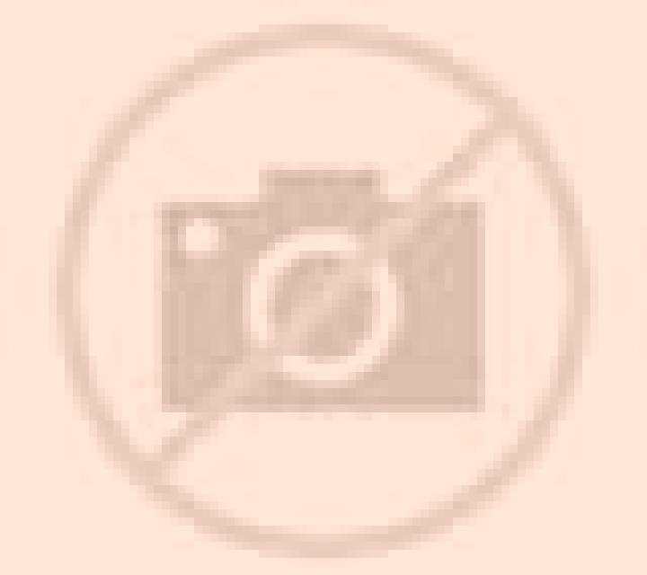 Noelia Pinto escort
