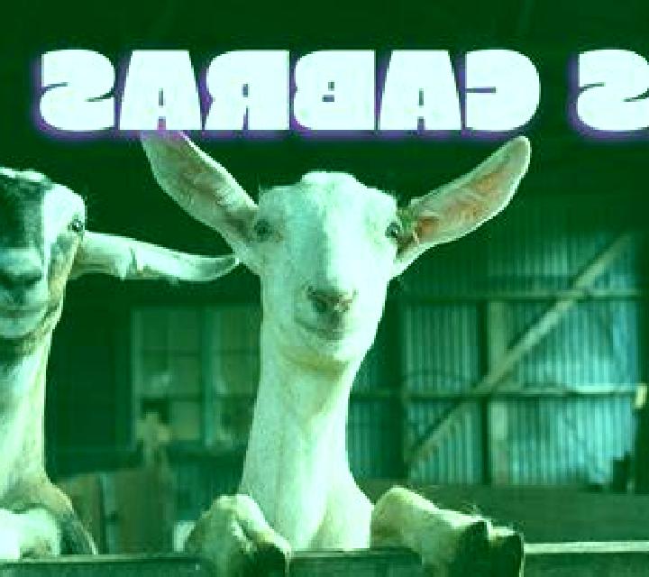 Pía Las Cabras escort