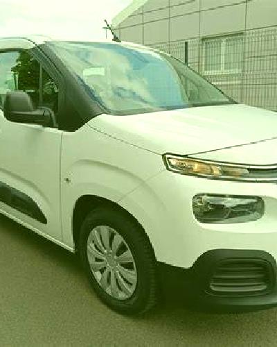 Paloma 2 Huara escort