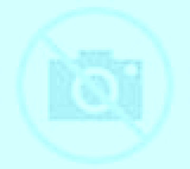 Paloma Renaico escort