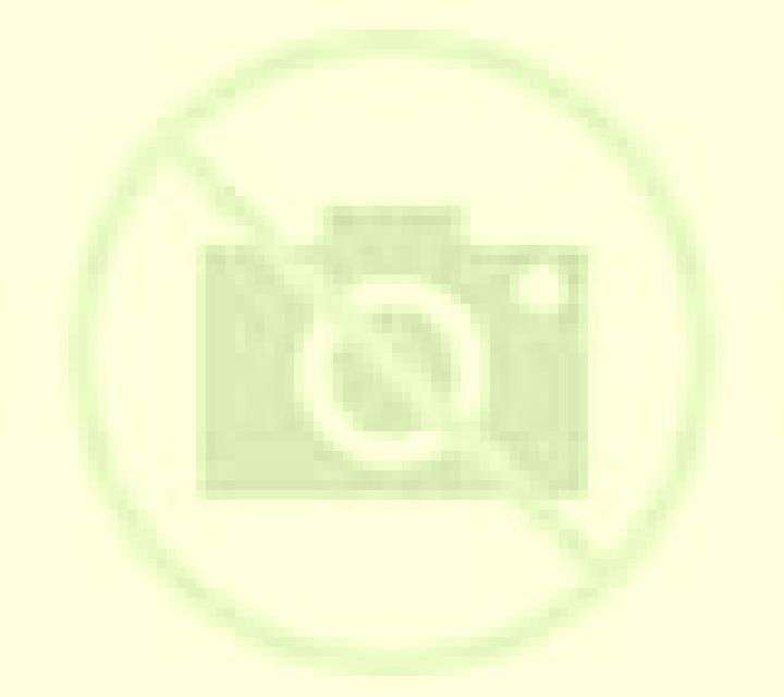 Salma 3 Copiapo escort