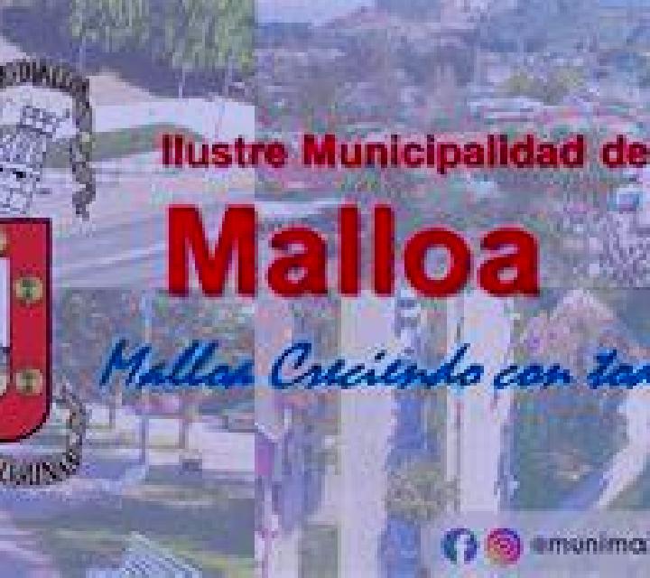 Salma Rinconada de Malloa escort
