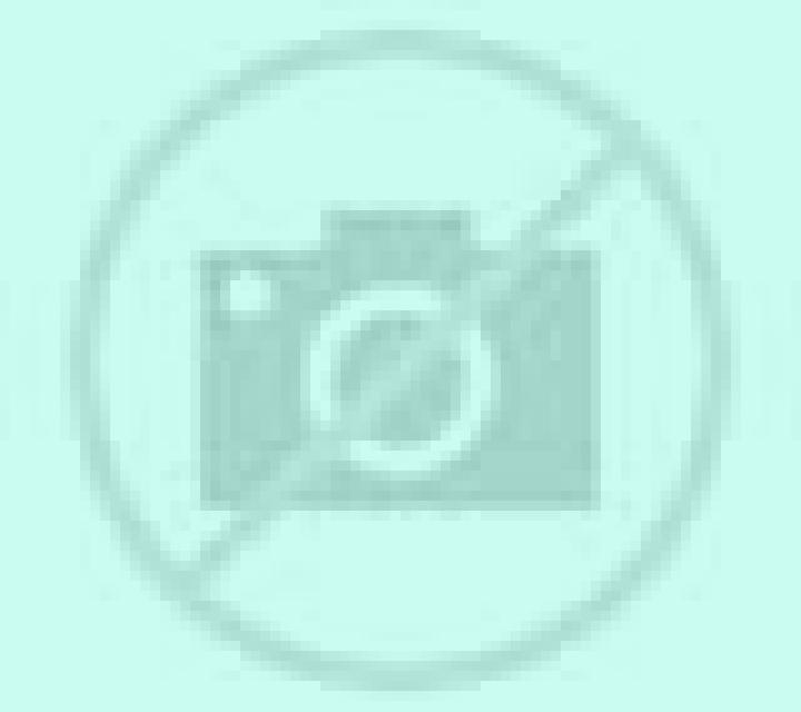 Trinidad Quillon escort