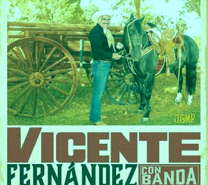 Vega 2 San Vicente escort