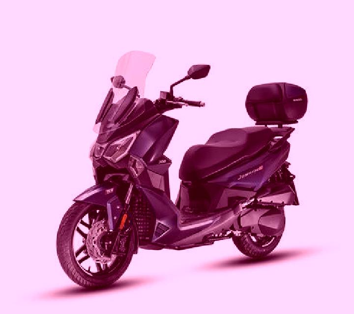 Vega Contulmo escort