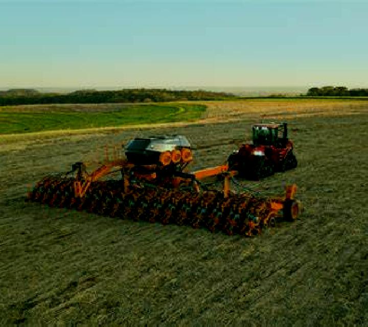 Zara 2 Labranza escort